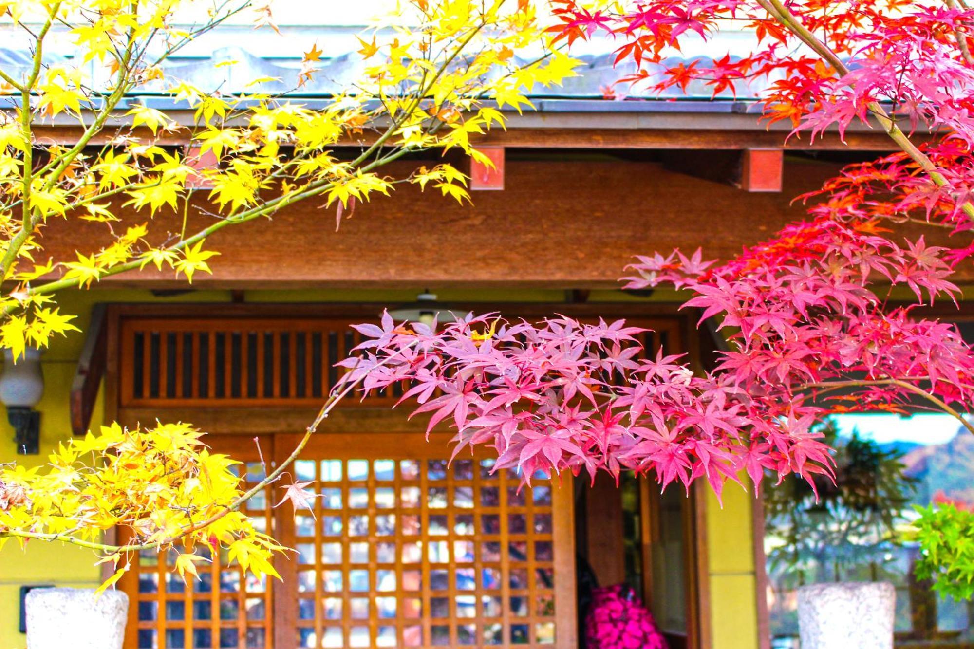 Stay SAKURA Kyoto 二条城西Ⅰ エクステリア 写真